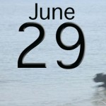 June 29: Ichthyology Numerology