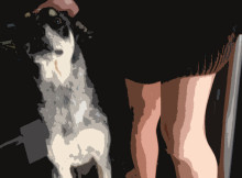 Petsplaining: Smell My Dog
